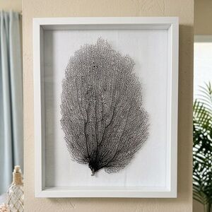 Oceanic Lace: Hand-Selected Natural Brown Sea Fan Specimen